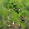 Perky-Pet Perky-Pet 7.25 in. H X 5 in. W Hummingbird Swing 90 - alternate 2